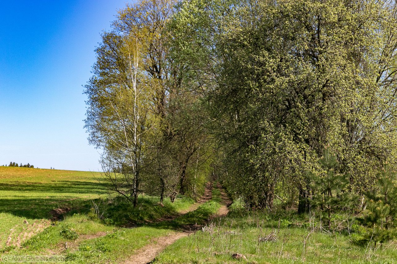 ������ ����� ������