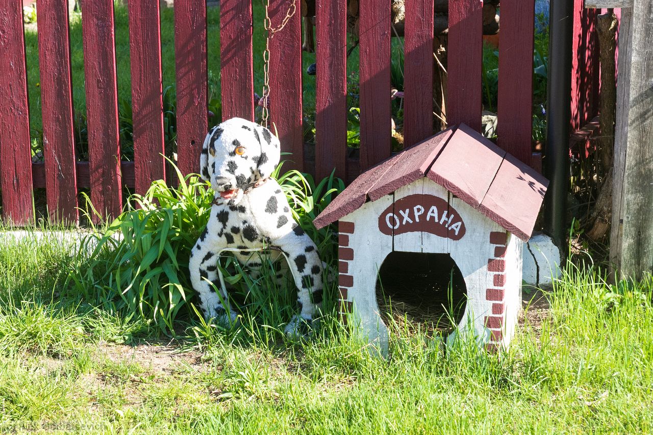 ������� ������