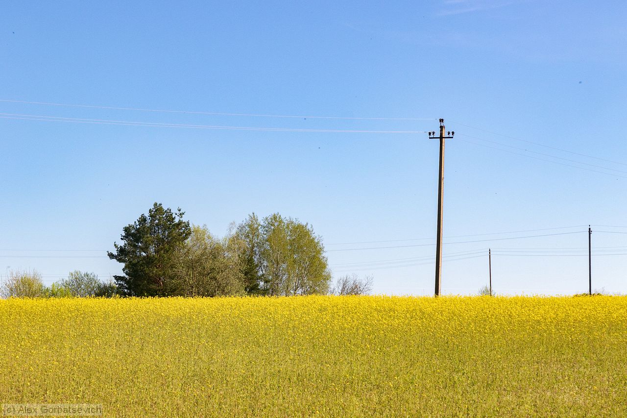 ��������� ����