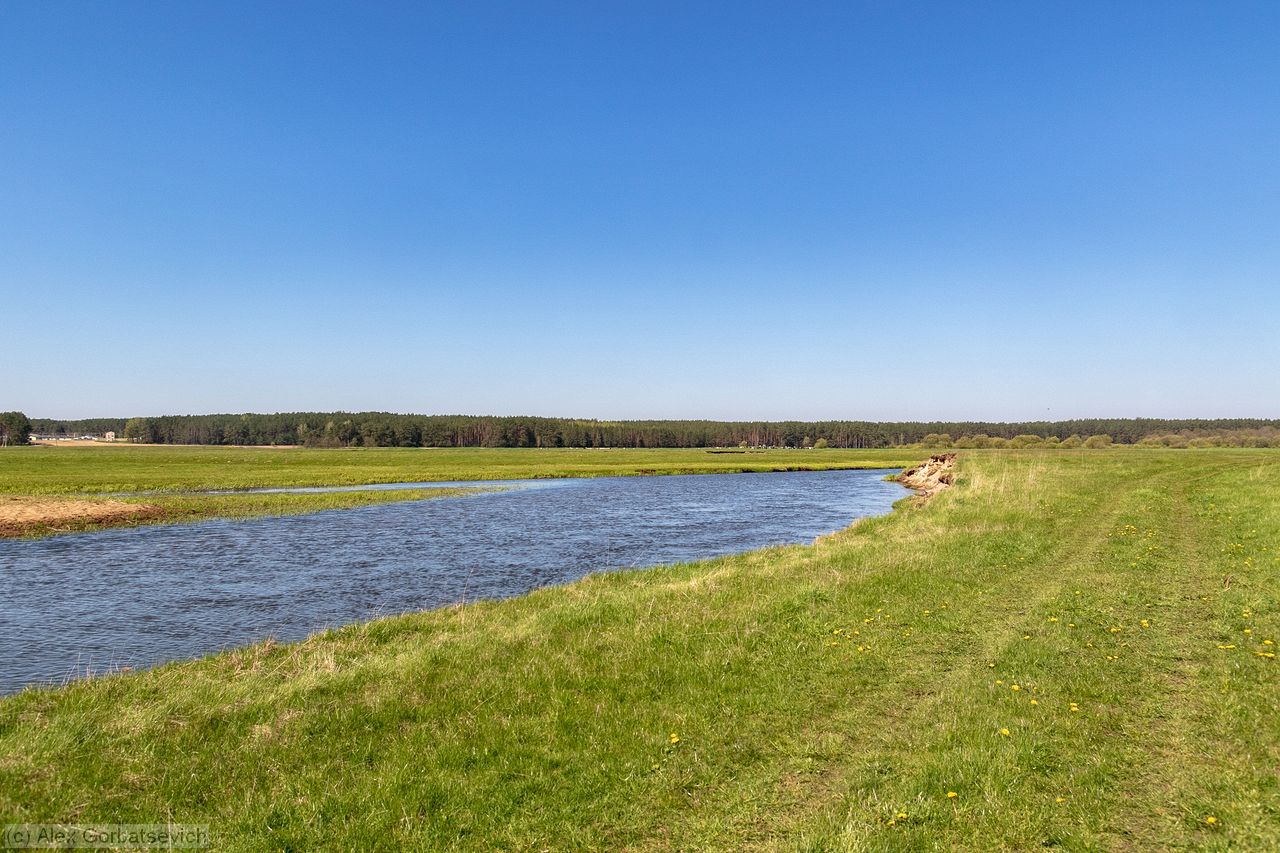�� �����