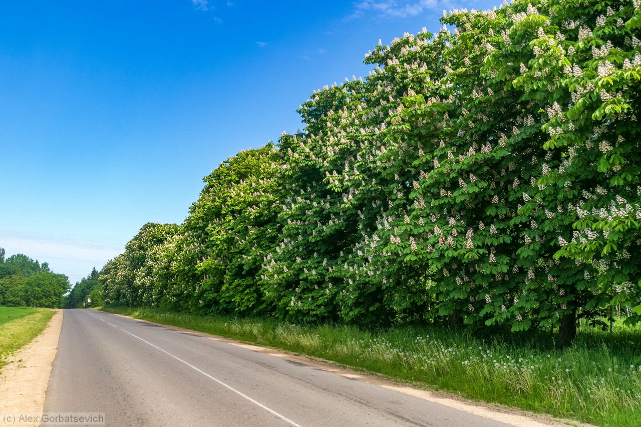 ���������� ������