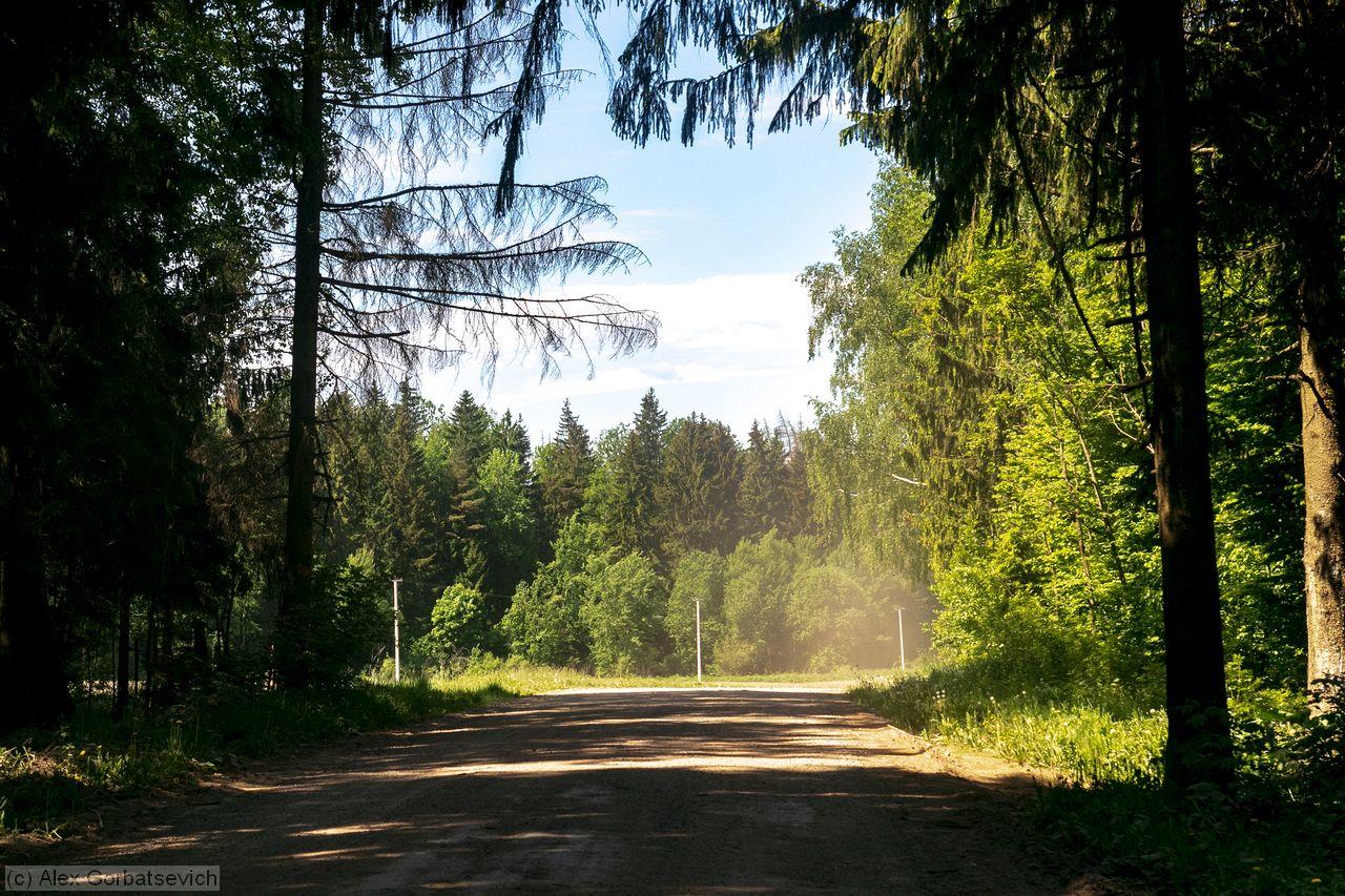 ����� ���