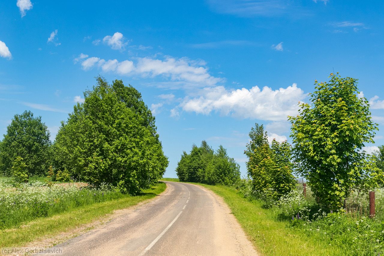 ������ � ��������