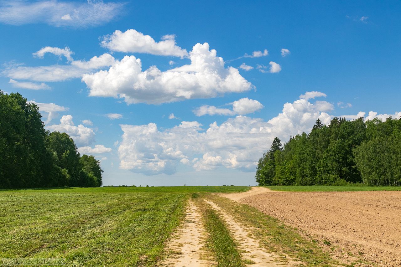 ������� �������