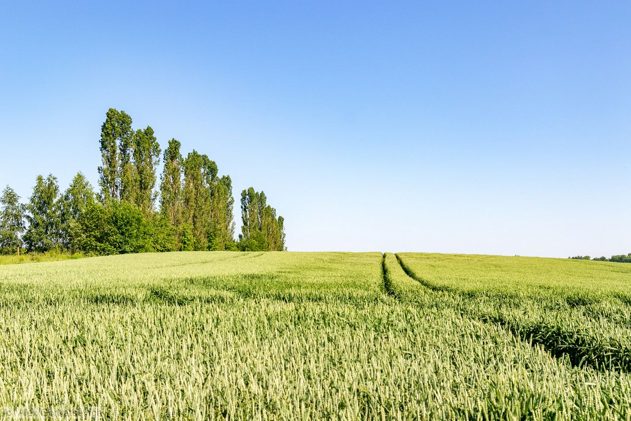 ������ � �������