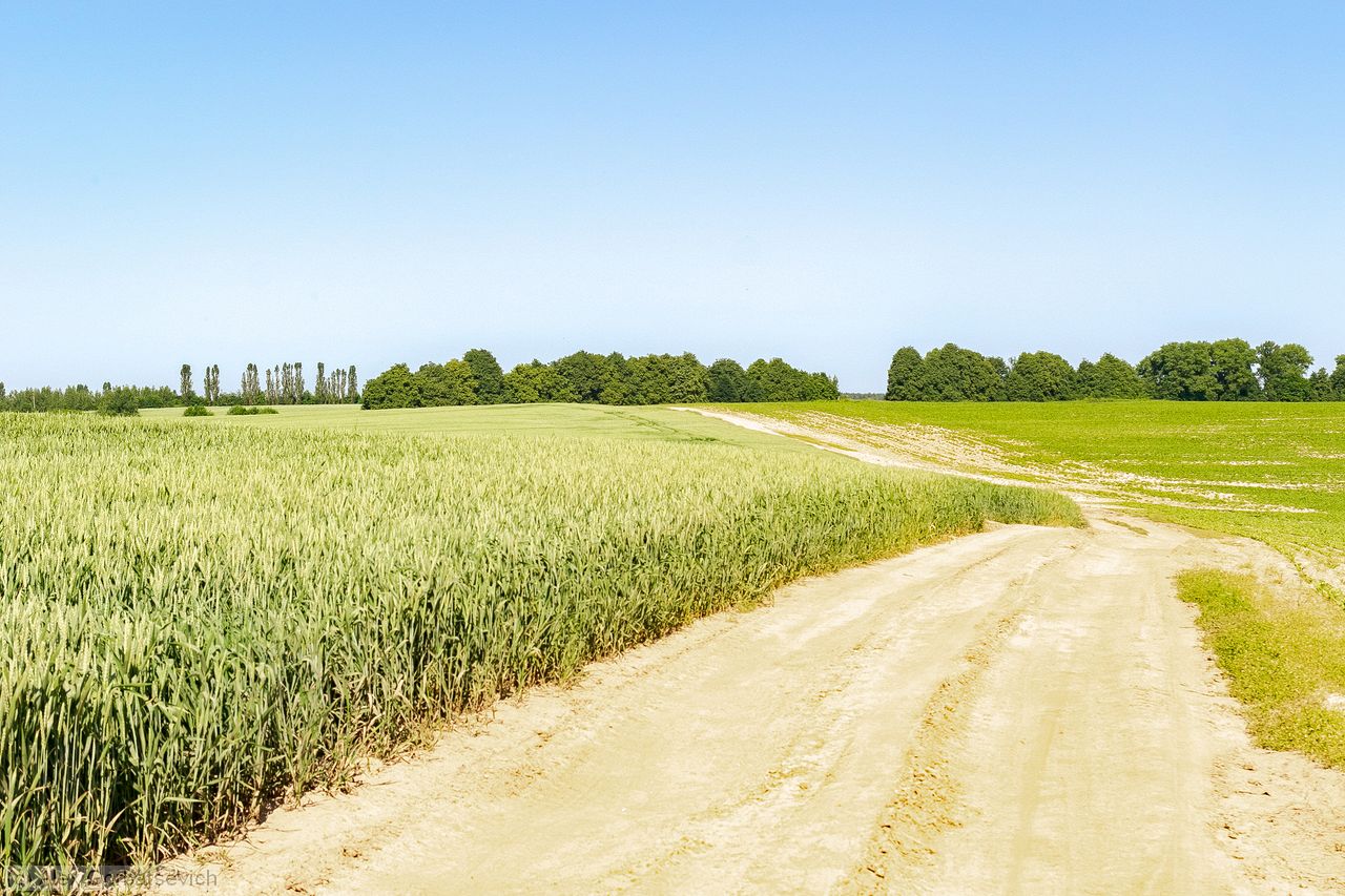 ������� ������