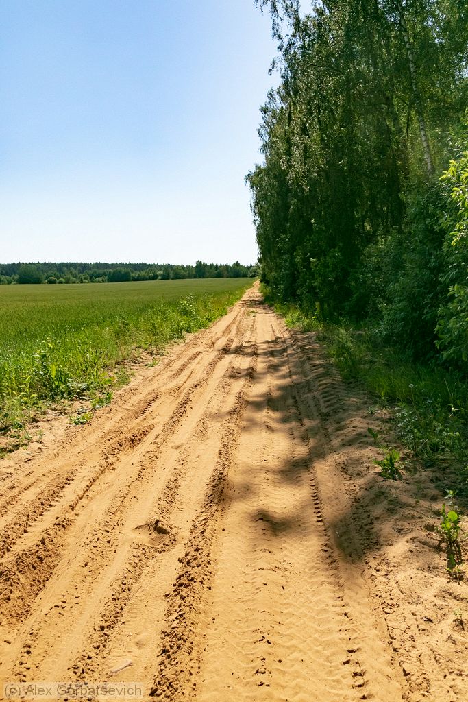 ������ � ������������������ ���������