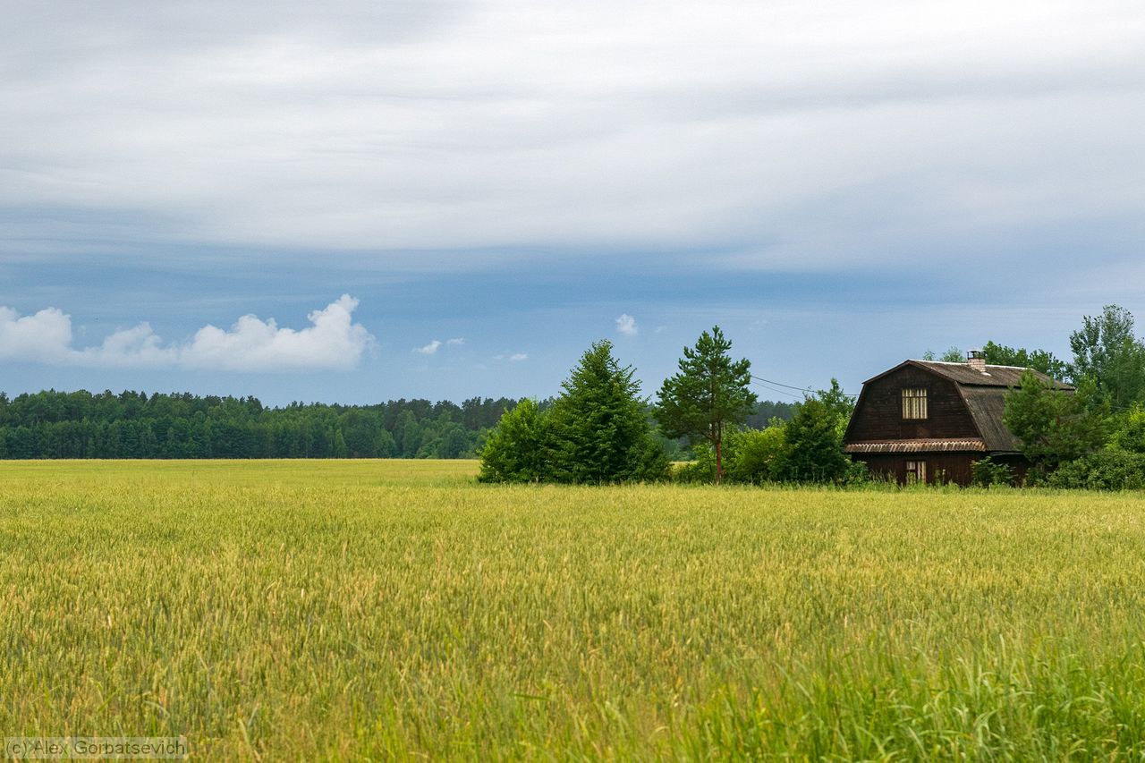 ���� �����������