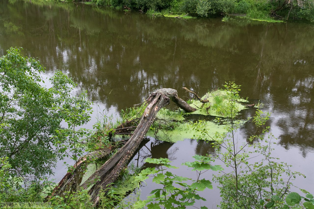 ������ �...