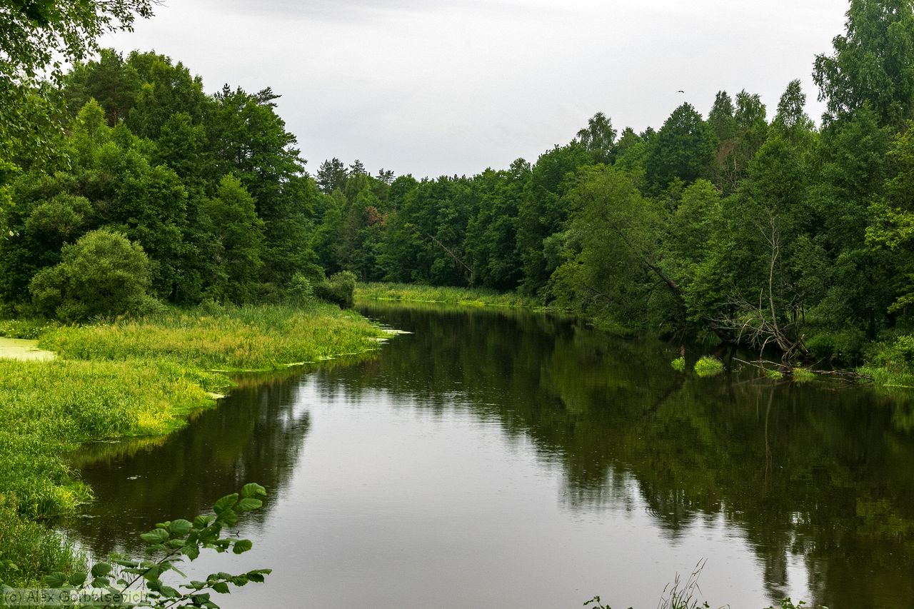 �. ��������