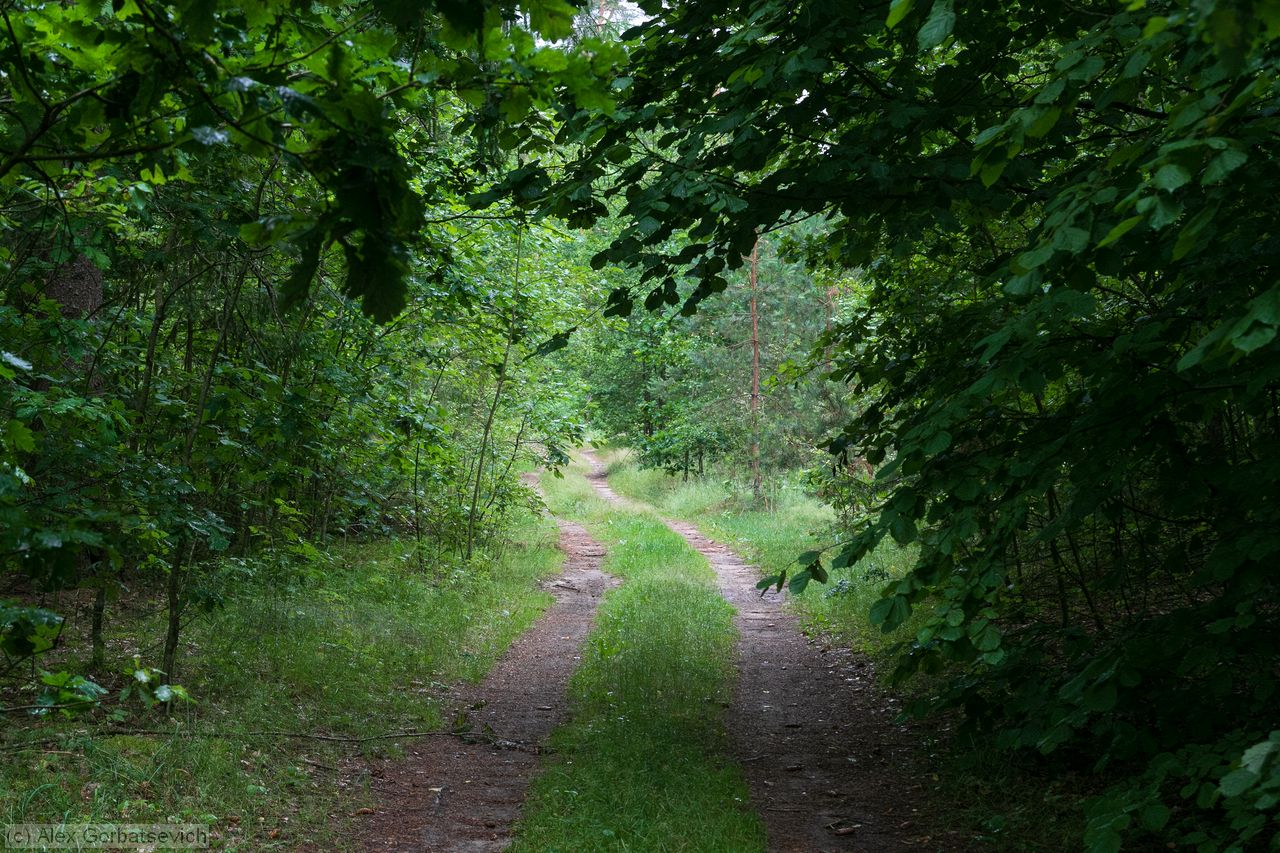 ���� � ����� ������