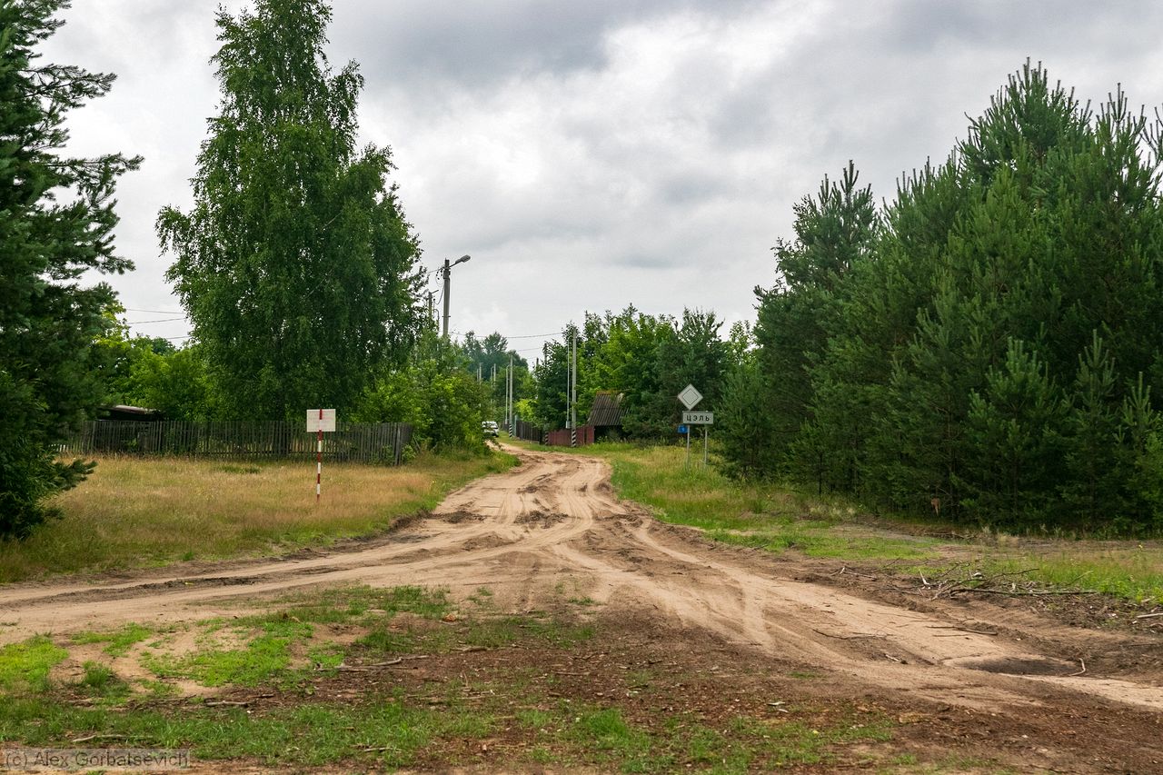 � ���� ����