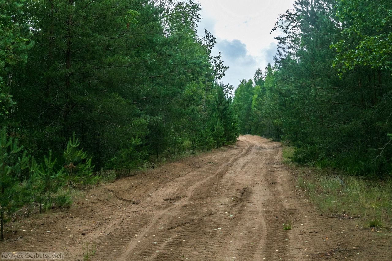 �������� ������