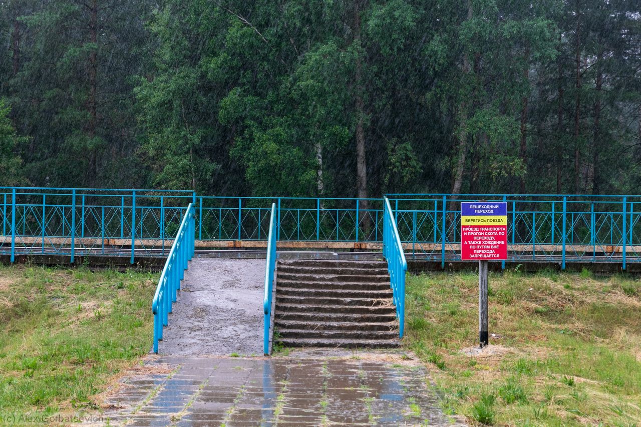 � �������