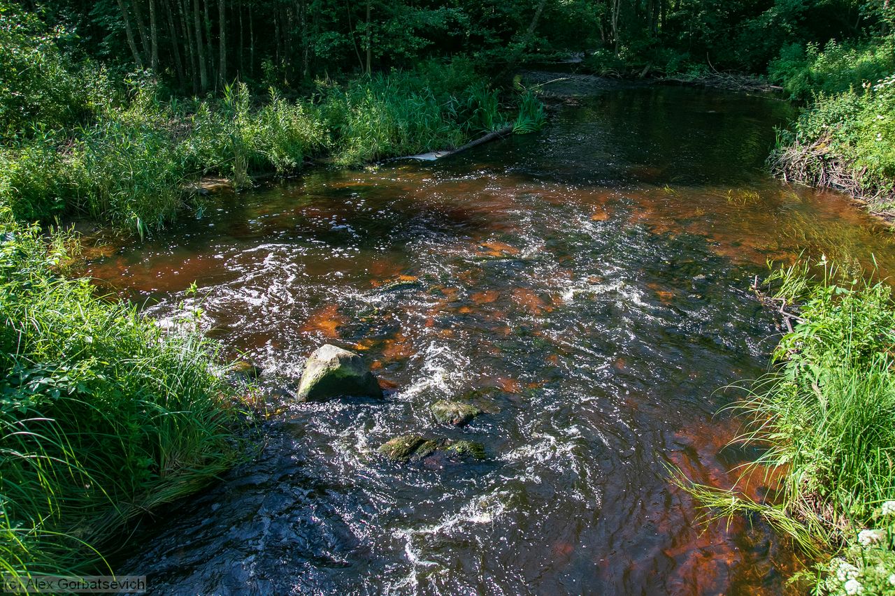 ������� �������