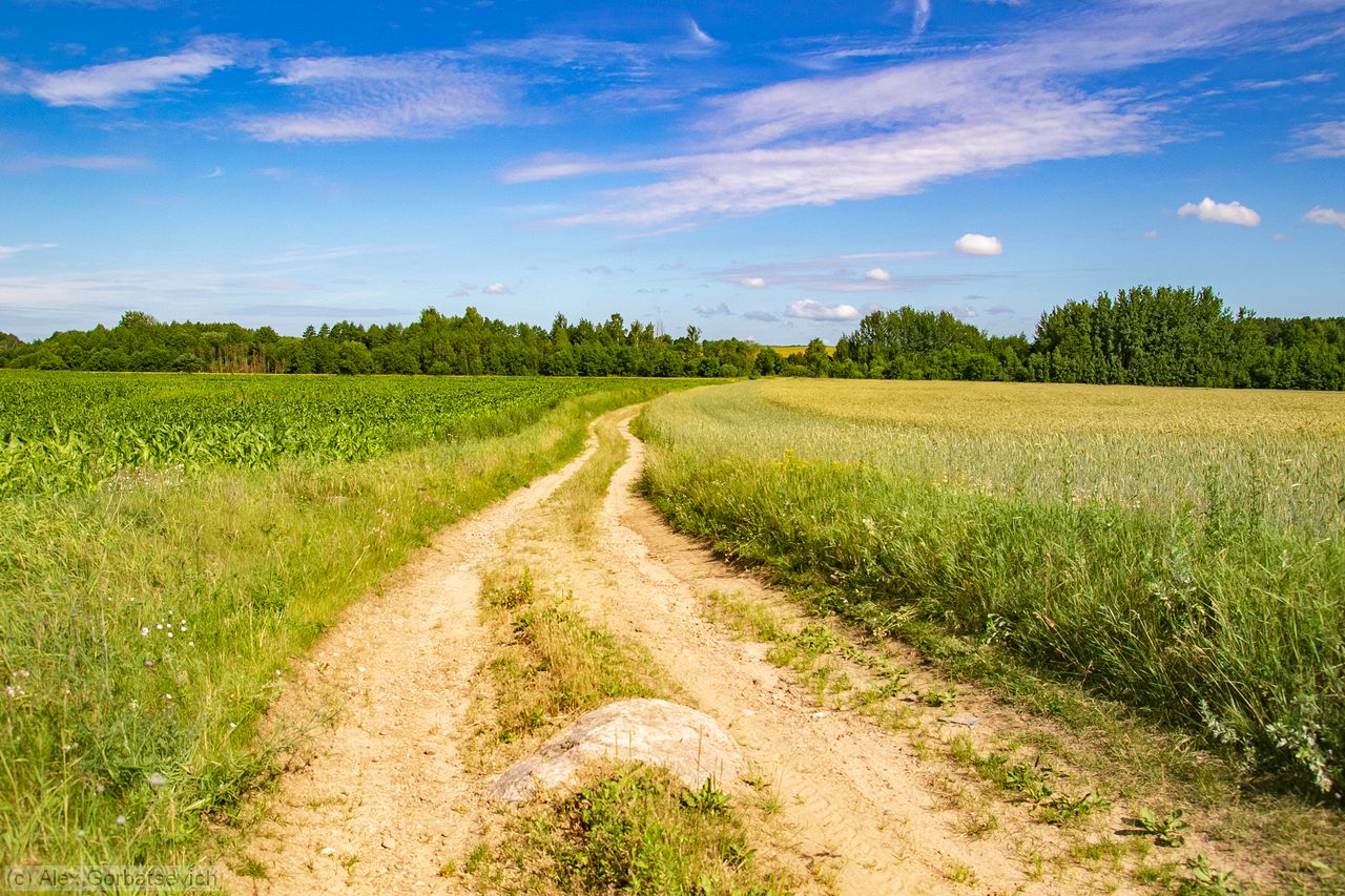 ������� ������