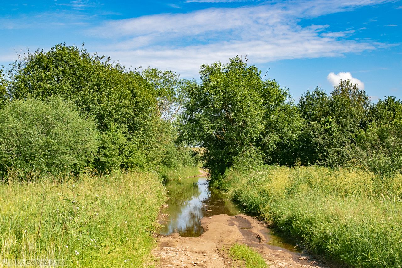 ����������� ����