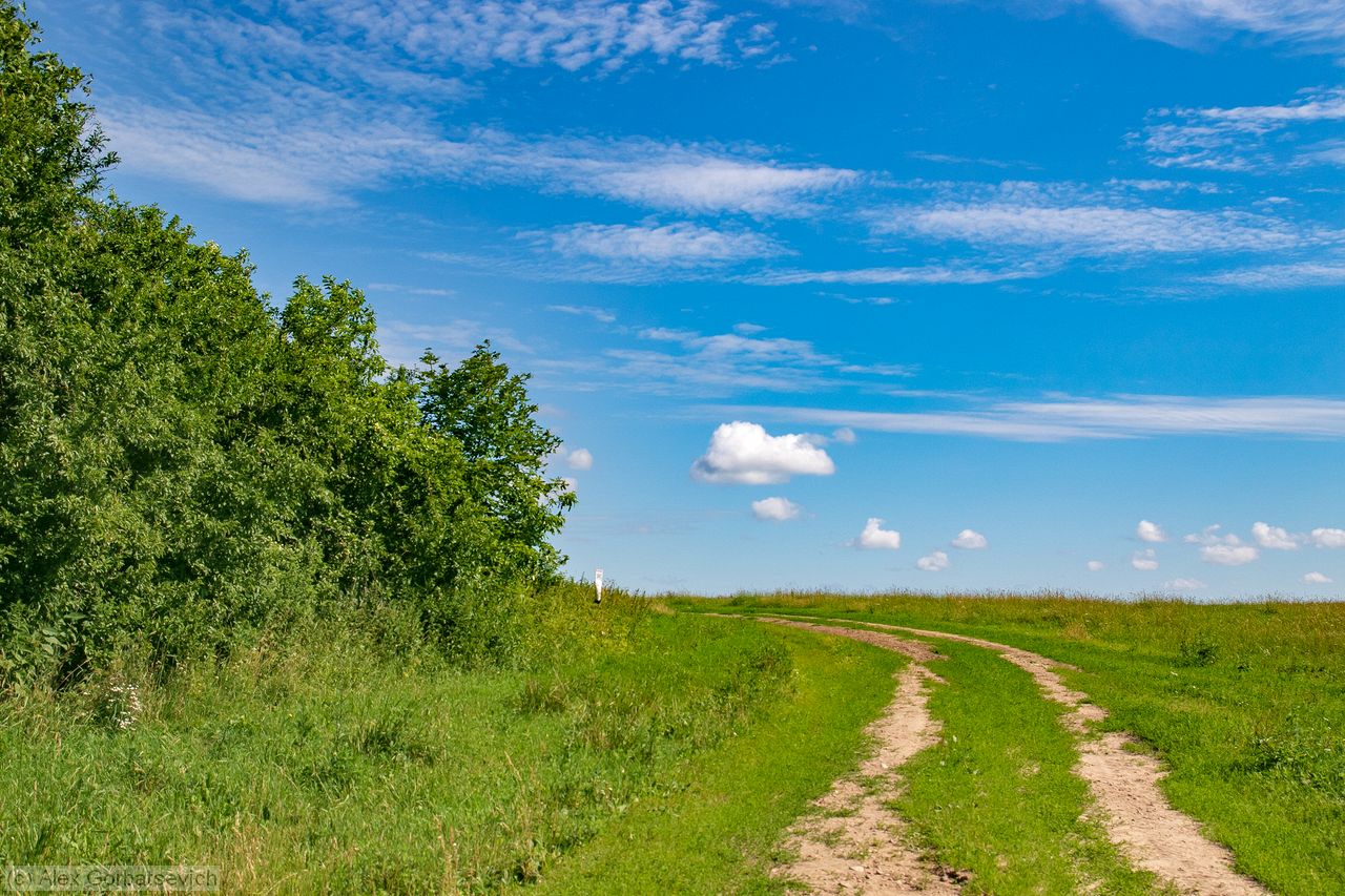 �� ������  � �������