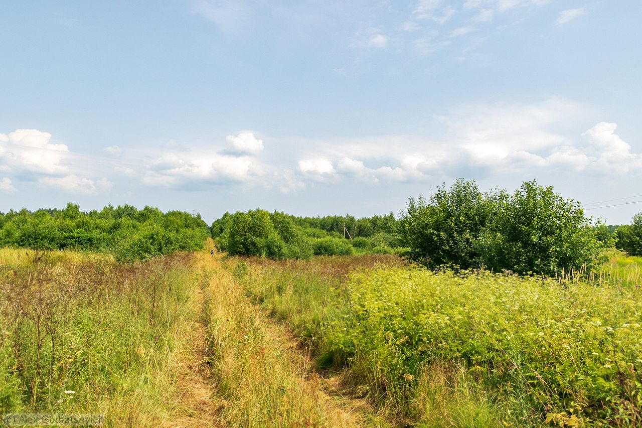 ������ ����� ����