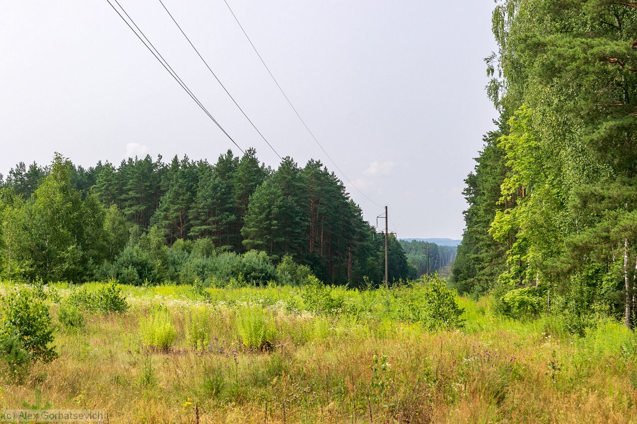 ����� ���� � ����� ������