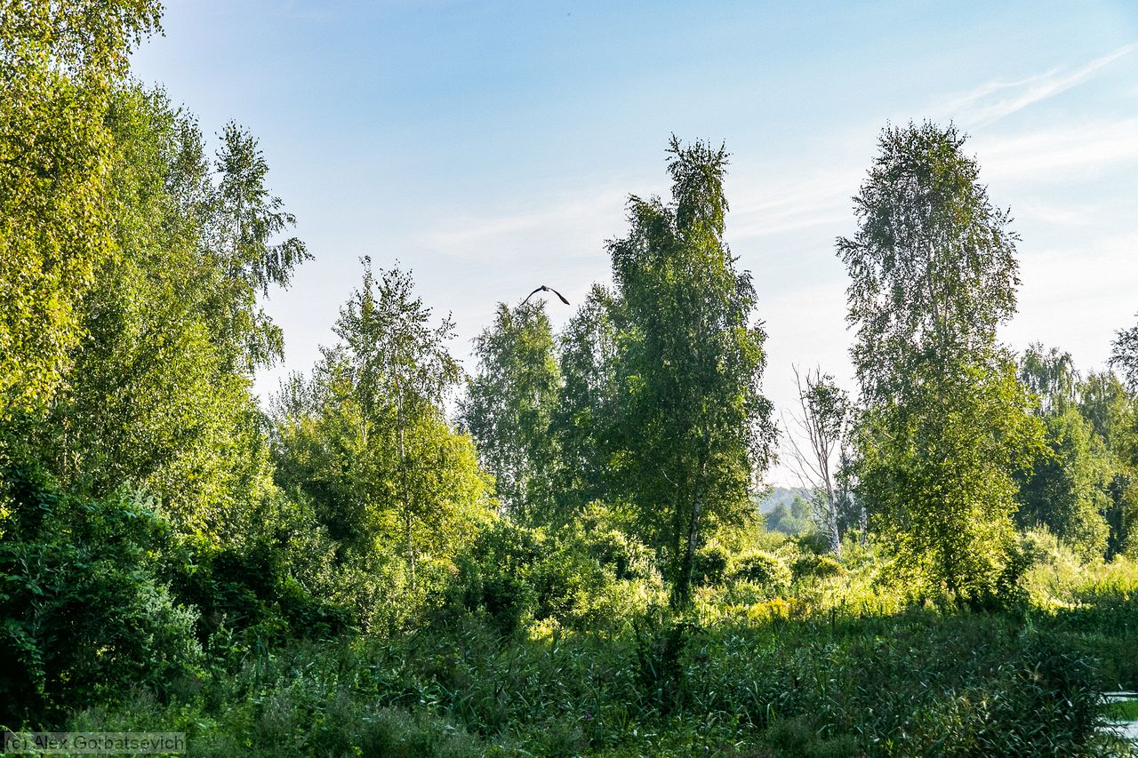 ���-�� ��� ���� ����� �����