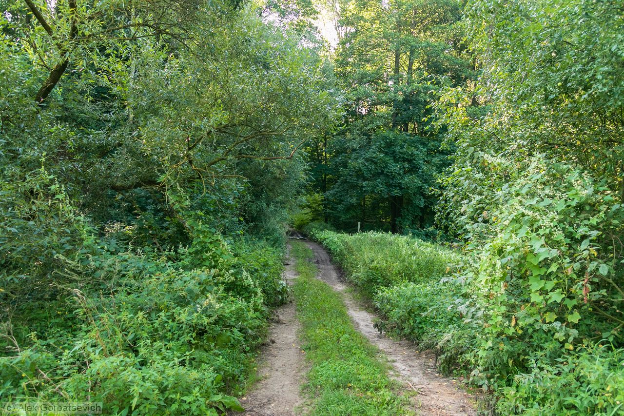 ������� � ���