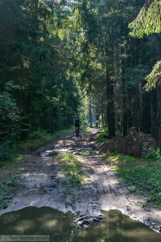 �� ������� ������