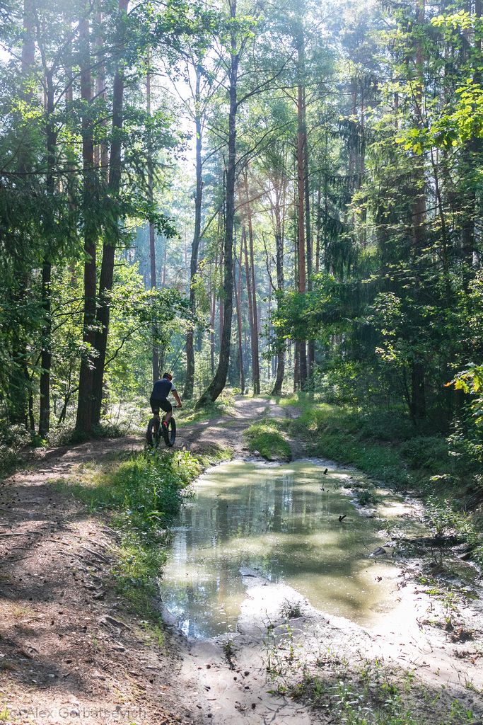 ������ ����������