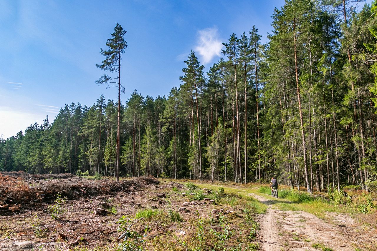 �� ������