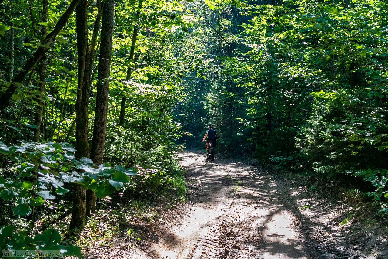 ����� ���