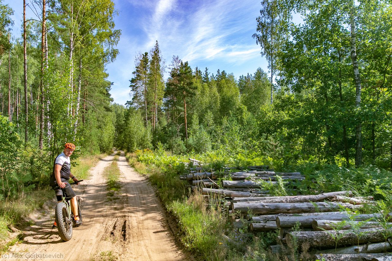 �� ���, �������?