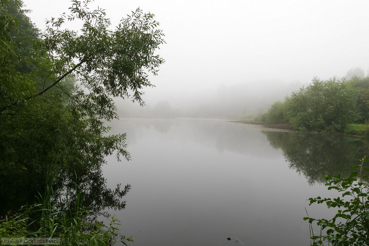 �������� ����