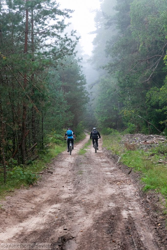 ������ �������