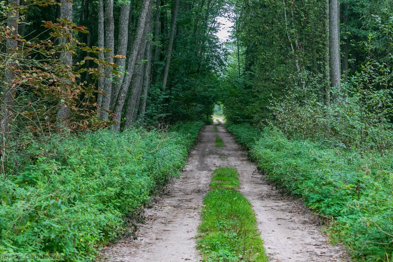 ������ �������