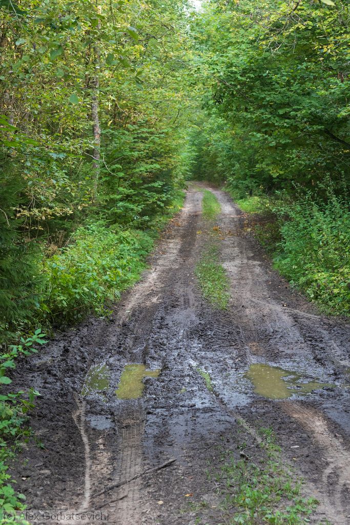 ������ � ���������� ���������