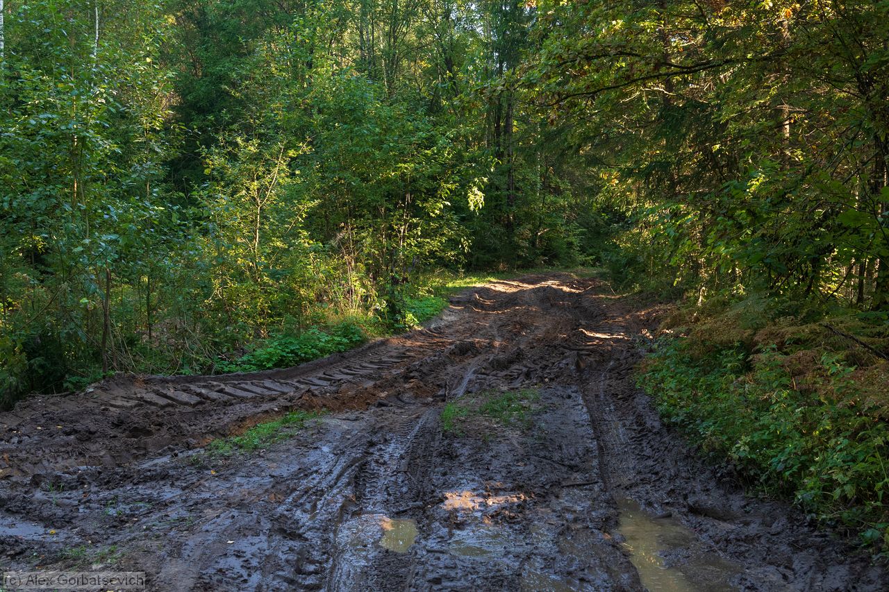 �������� ������