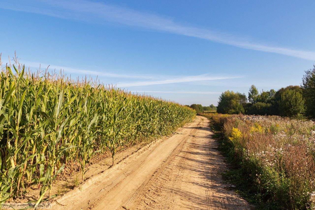 ������ ����� ��������