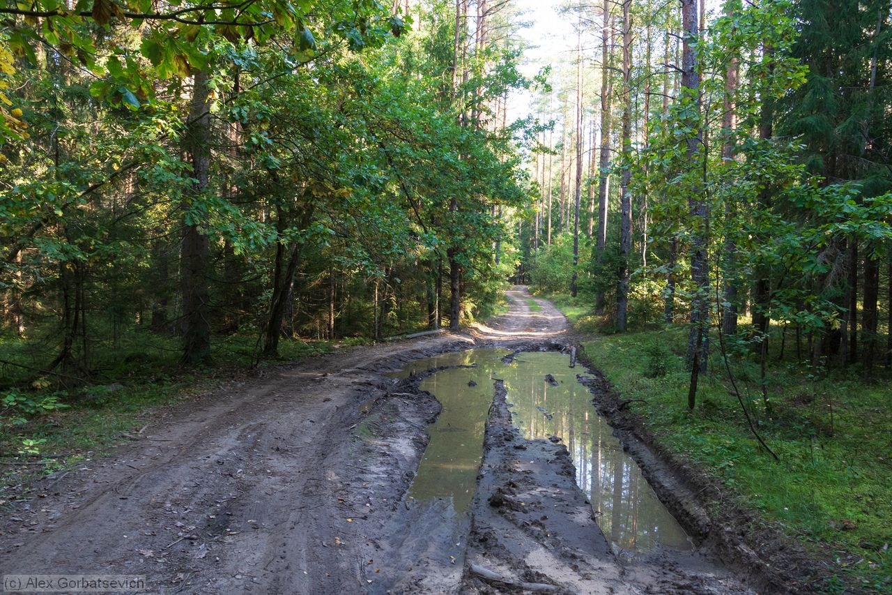 ������ ������