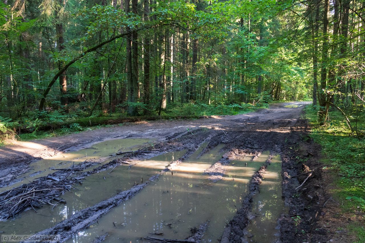 ������� ���������