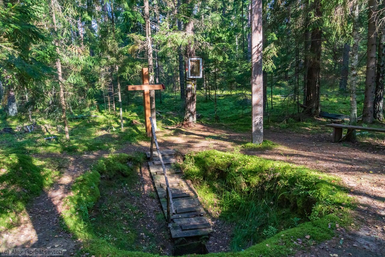 ������ ������� ����