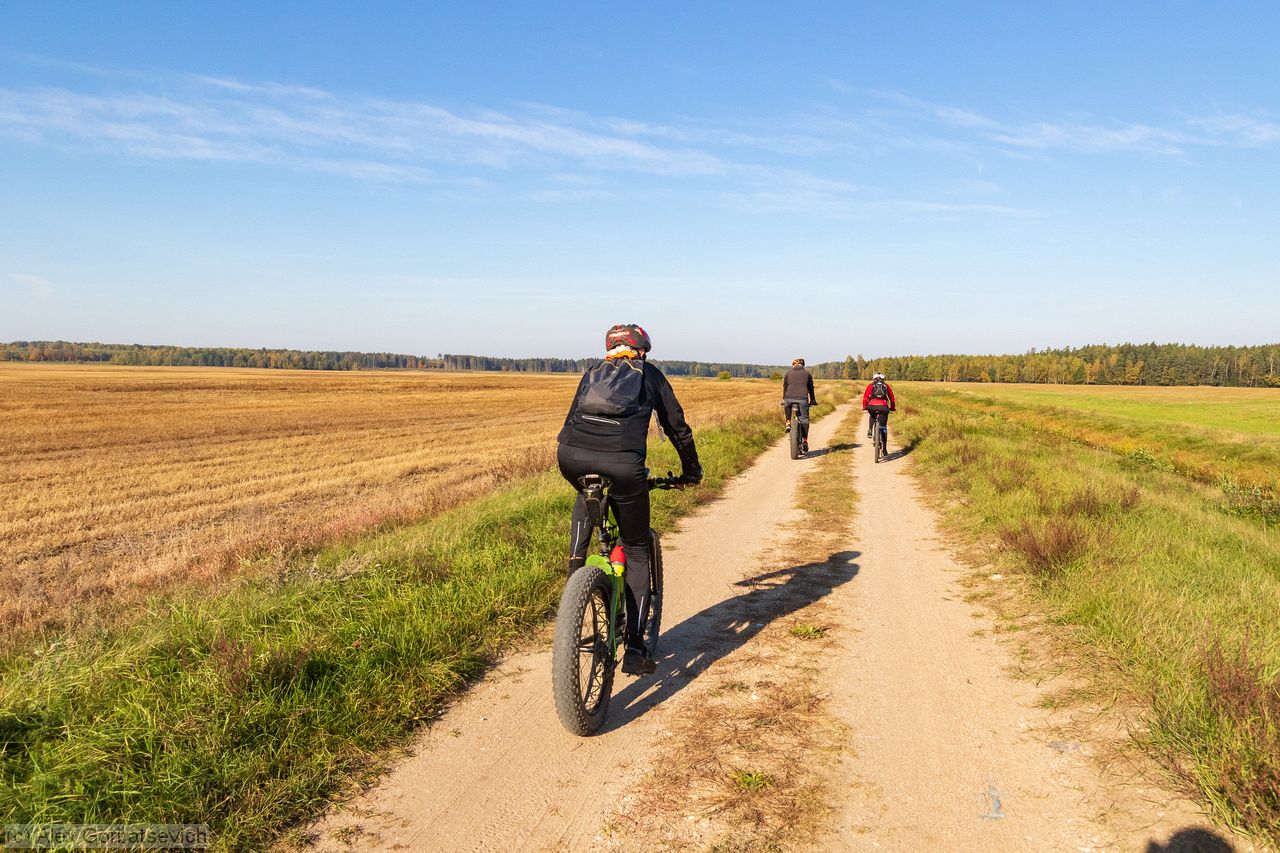 ����� ������