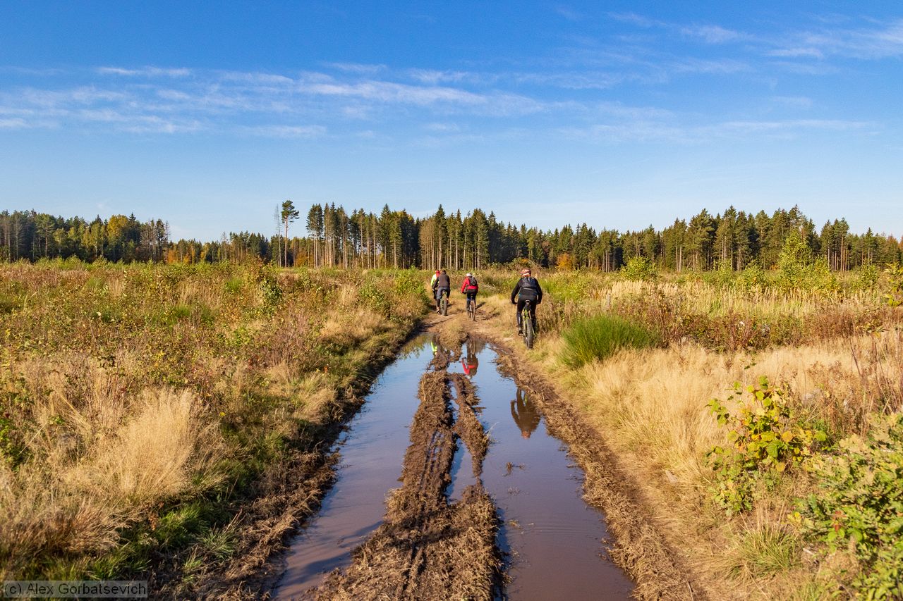 ����� �������