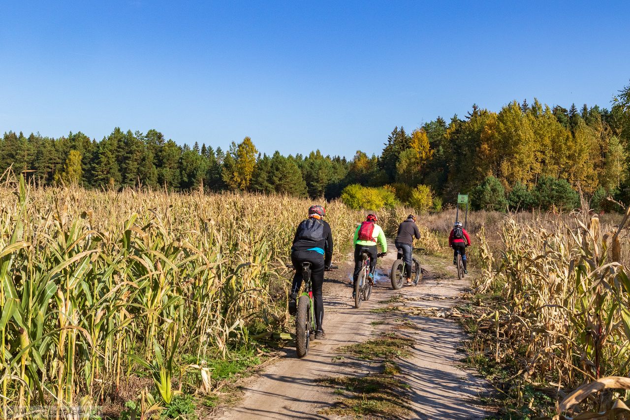 ����������