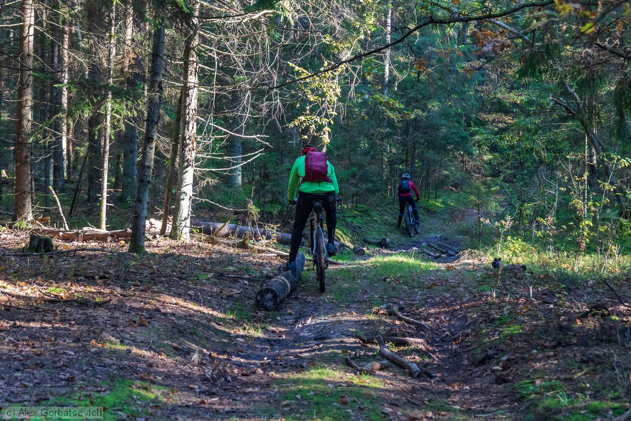 � �������� �������� ��������