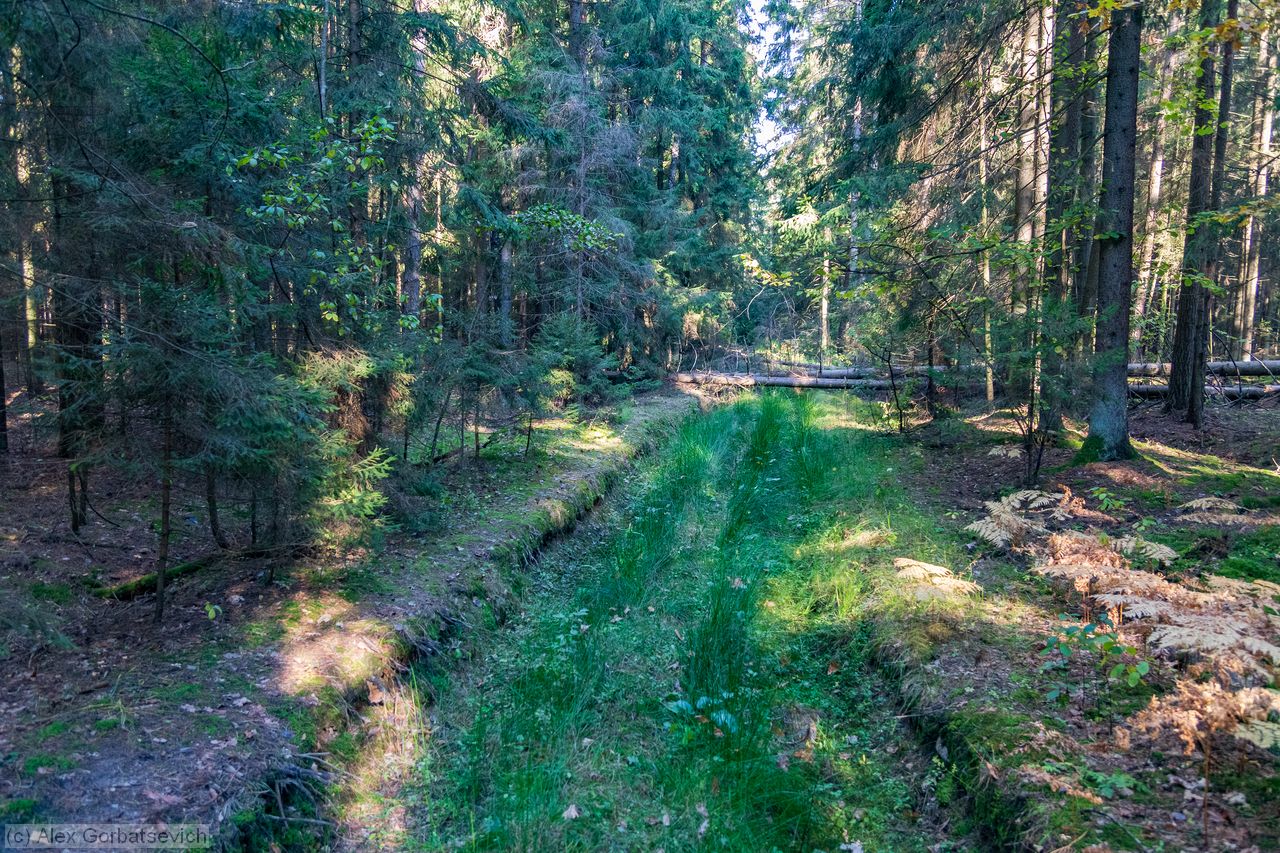 ������ � ��������� ���������