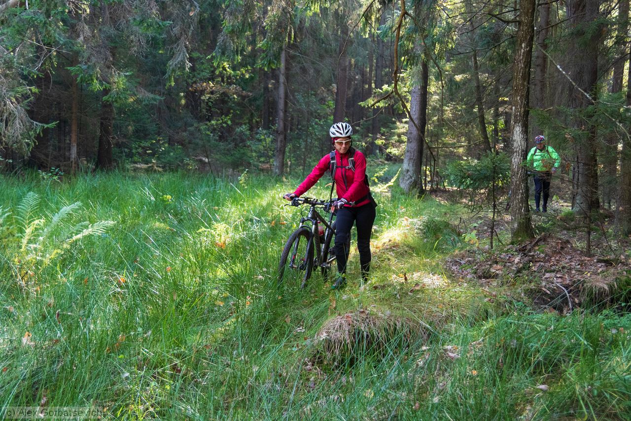 ��� �������� ������