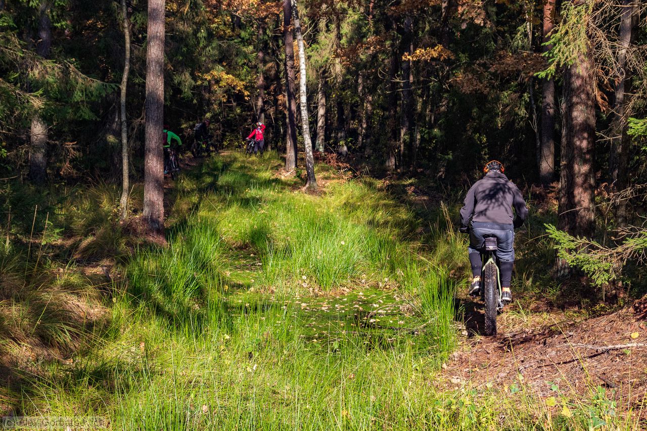 � ������ �� ������