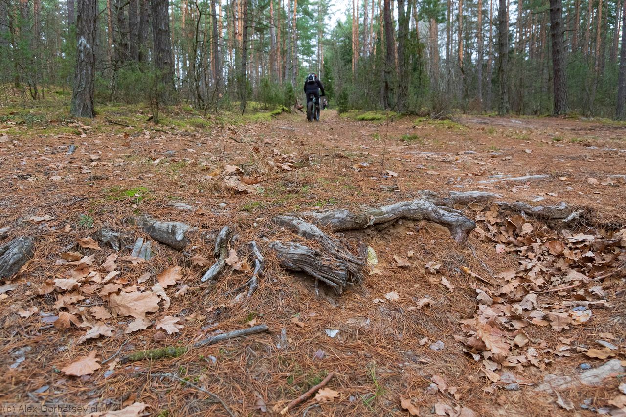 ������ ������