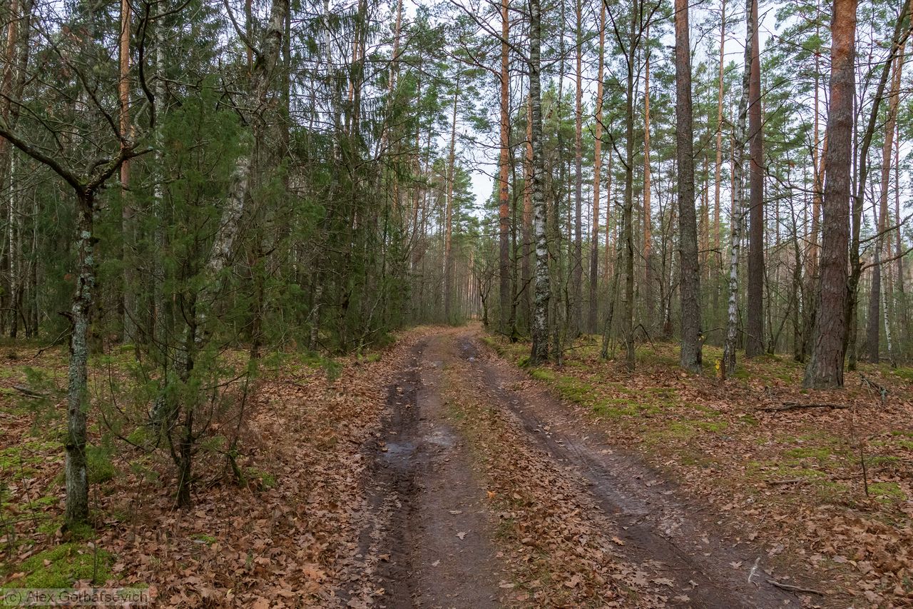 ������� ���