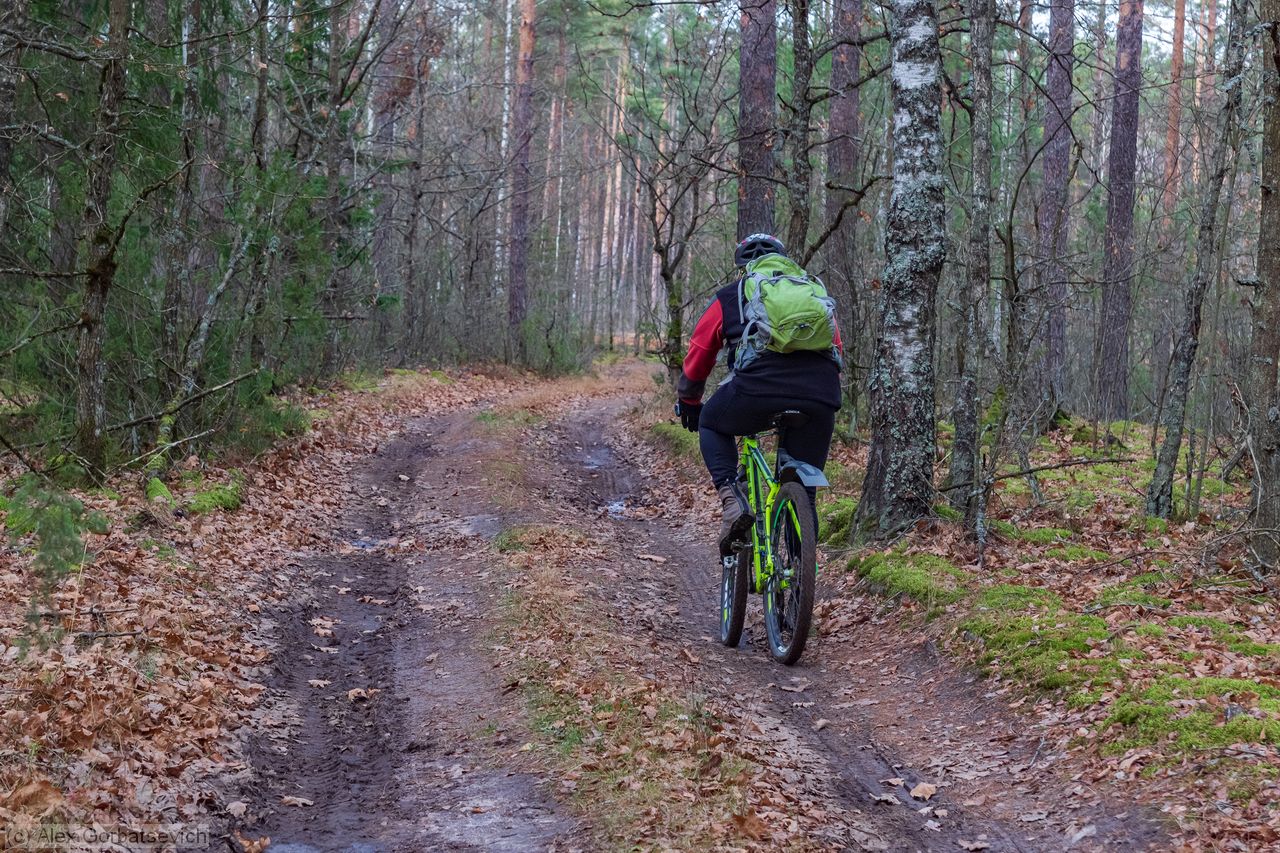 ������� ��������